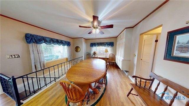 dining room with hardwood / wood-style floors, a wealth of natural light, ceiling fan, and ornamental molding