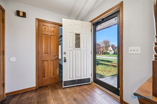 foyer featuring dark wood-type flooring