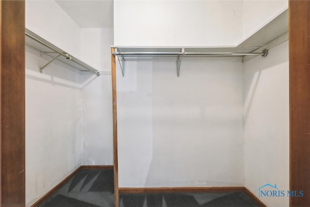 spacious closet featuring carpet flooring