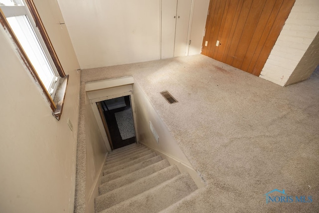 staircase featuring carpet floors and wooden walls