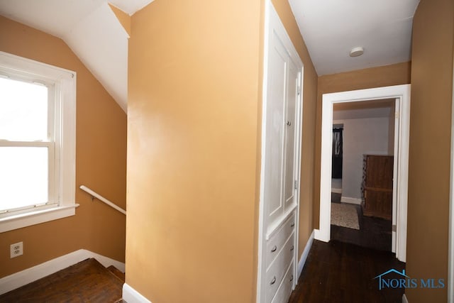 hall with dark hardwood / wood-style floors and vaulted ceiling