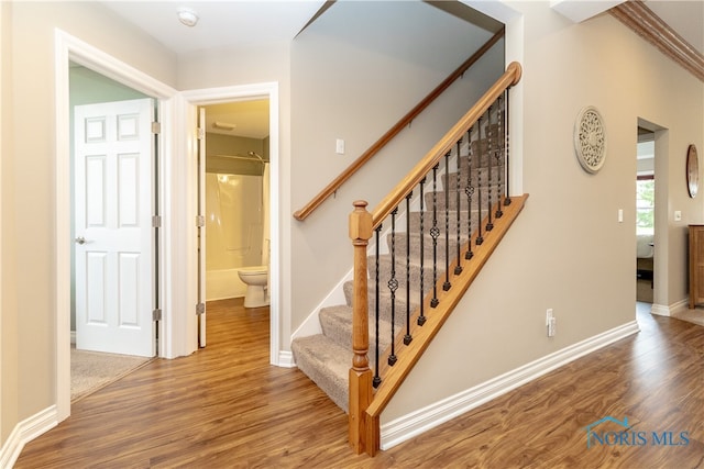 staircase featuring hardwood / wood-style flooring