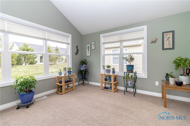 miscellaneous room with light colored carpet and vaulted ceiling