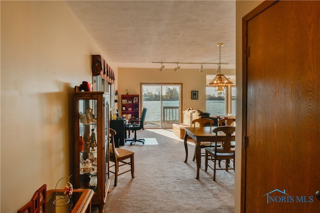 carpeted dining space featuring a water view, a textured ceiling, and track lighting