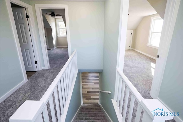 stairs with a wealth of natural light, carpet, and ceiling fan