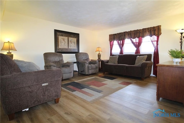 living room featuring hardwood / wood-style flooring