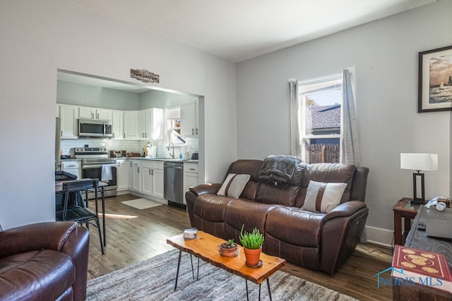 living room with hardwood / wood-style floors