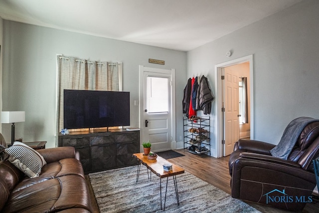 living room with hardwood / wood-style flooring