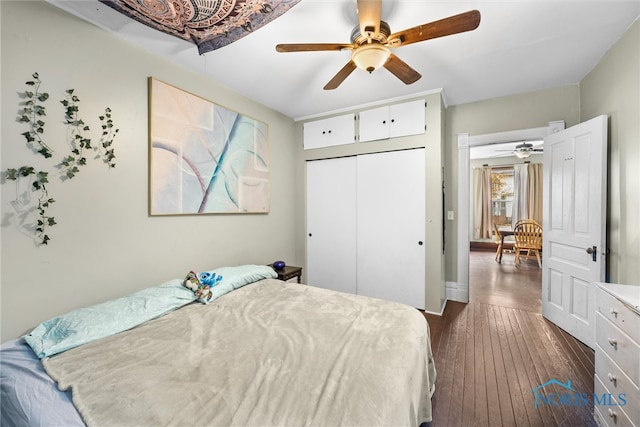 bedroom featuring dark wood-type flooring, ceiling fan, and a closet