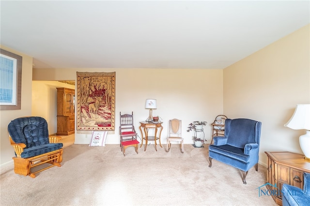 sitting room featuring carpet floors