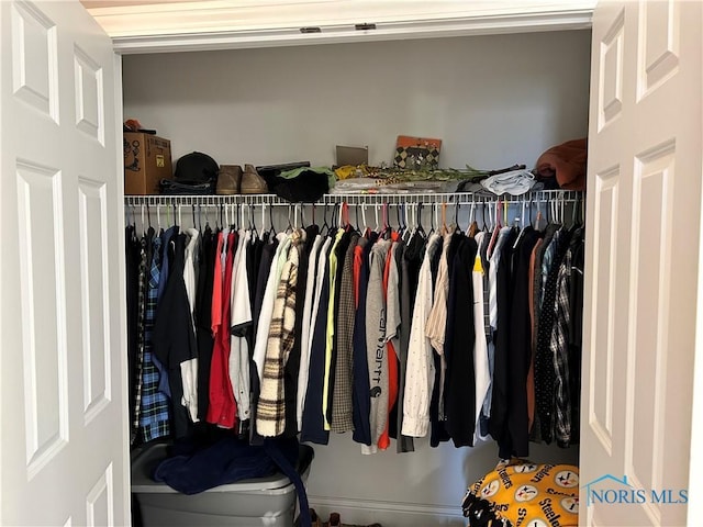 view of closet