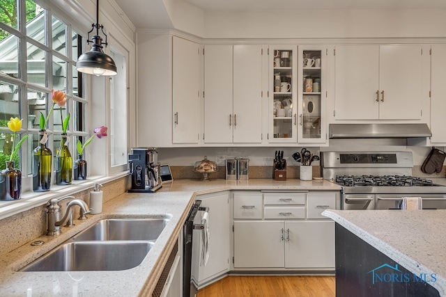 kitchen featuring light hardwood / wood-style floors, white cabinetry, pendant lighting, and appliances with stainless steel finishes