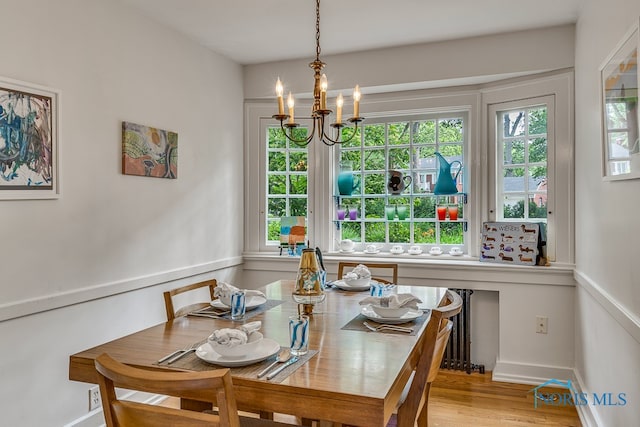 dining area featuring radiator heating unit, a notable chandelier, and light hardwood / wood-style floors