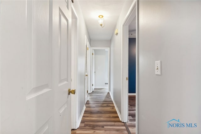 hall with dark hardwood / wood-style floors