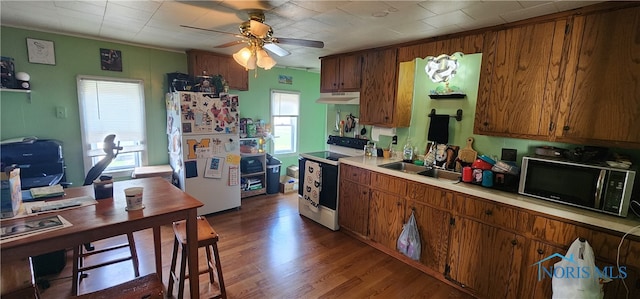 kitchen with a wealth of natural light, range with electric stovetop, dark hardwood / wood-style flooring, and white refrigerator