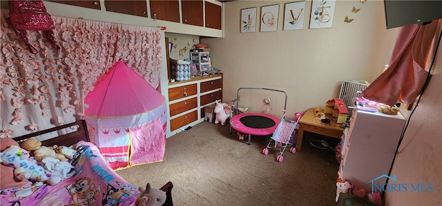 bedroom with carpet floors