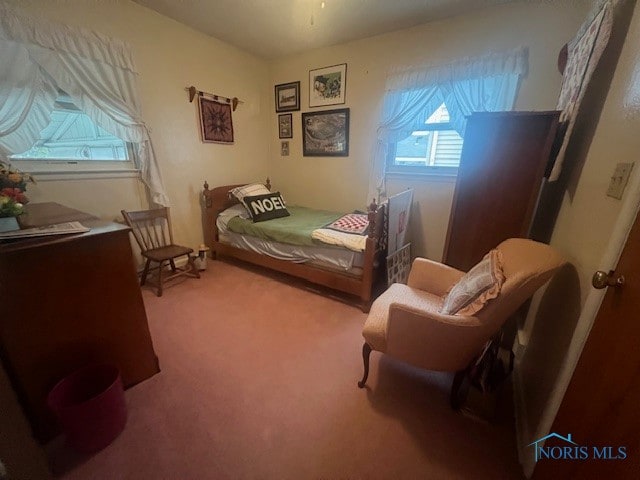 view of carpeted bedroom