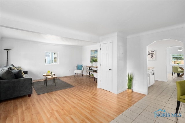 living room featuring ceiling fan, a wealth of natural light, and light hardwood / wood-style floors