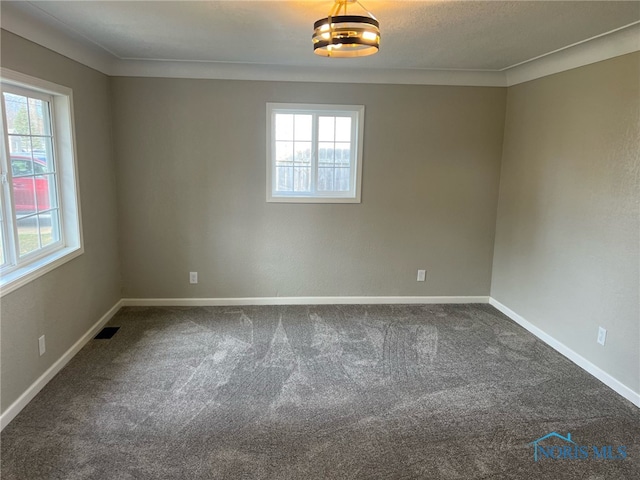 spare room with crown molding, plenty of natural light, and carpet floors