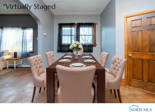 dining area with a wealth of natural light and light hardwood / wood-style floors