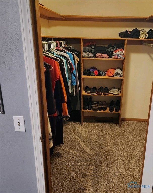 spacious closet with carpet