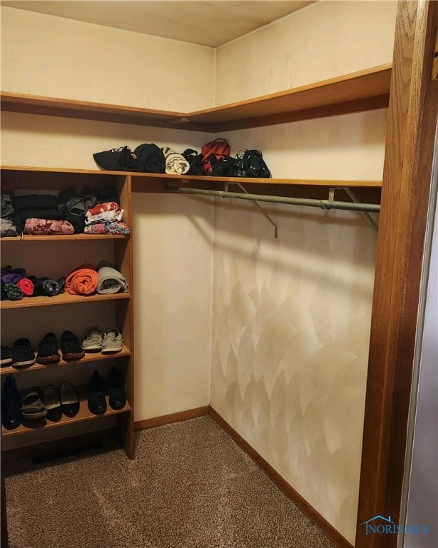 walk in closet with carpet floors