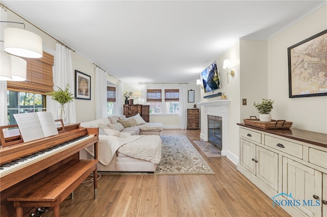 living room with crown molding and light hardwood / wood-style floors