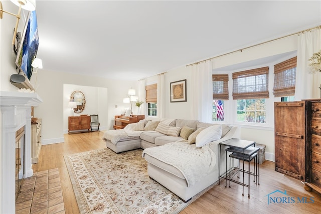 living room featuring light hardwood / wood-style floors