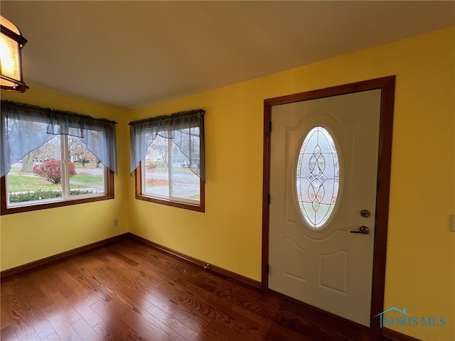 foyer featuring plenty of natural light and dark hardwood / wood-style floors