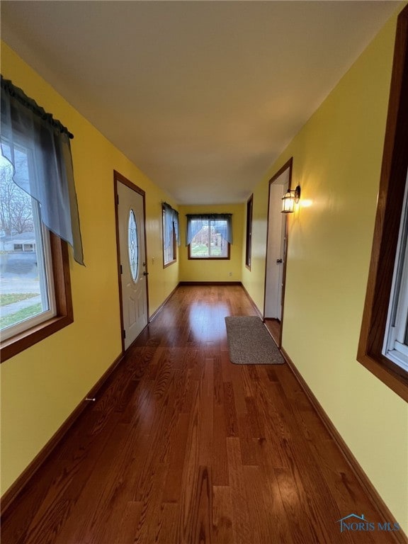 hall with dark hardwood / wood-style flooring