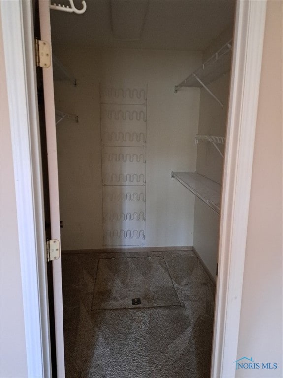 spacious closet with carpet