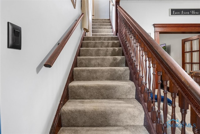 staircase featuring carpet