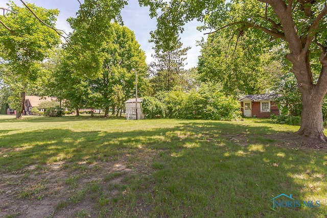 view of yard featuring a storage unit