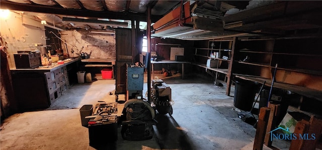 basement featuring a workshop area