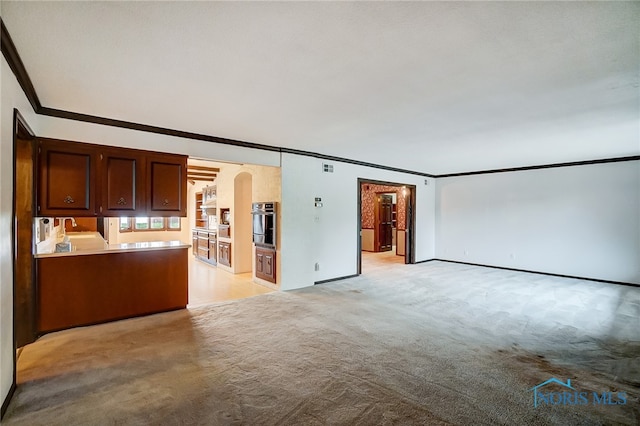 unfurnished living room with sink, light colored carpet, and ornamental molding