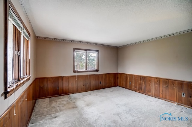 unfurnished room with wood walls, light carpet, and a textured ceiling