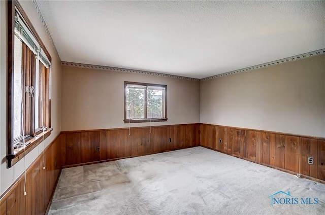 1362 Conneaut Ave, Bowling Green, OH 43402 - unfurnished room with wainscoting, wood walls, light colored carpet, and a textured ceiling