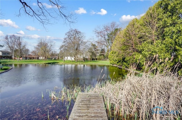 1362 Conneaut Ave, Bowling Green, OH 43402 - dock area with a water view