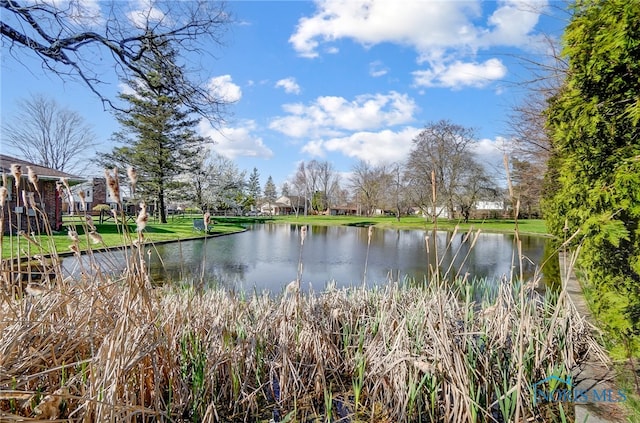 view of water feature