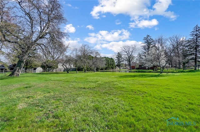 view of yard