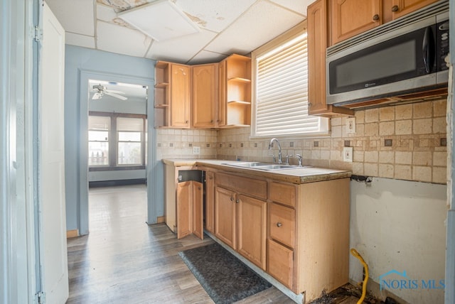 kitchen with ceiling fan, a healthy amount of sunlight, light wood-type flooring, and sink