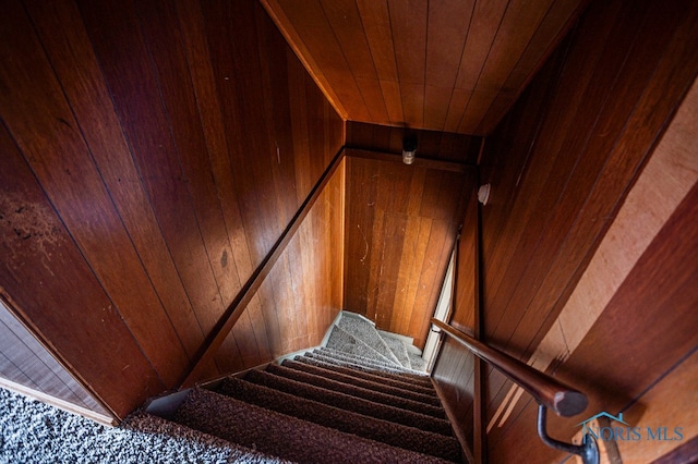 stairs with wood walls and wooden ceiling