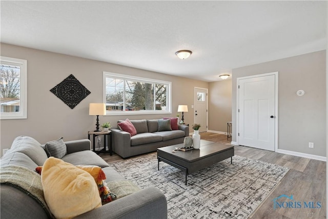 living room with hardwood / wood-style flooring and a healthy amount of sunlight