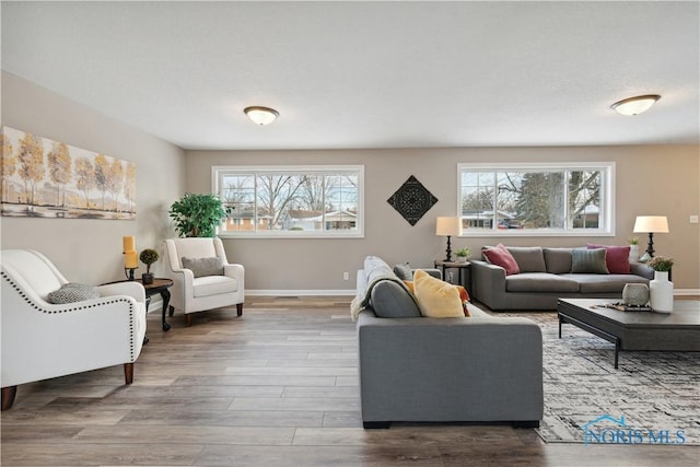 living room featuring hardwood / wood-style flooring and a healthy amount of sunlight