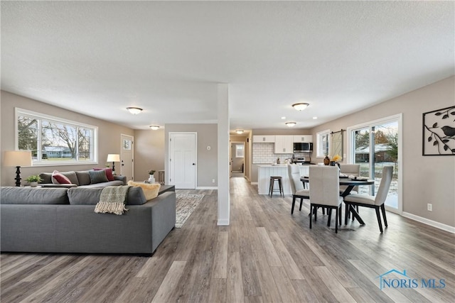 living room featuring a healthy amount of sunlight, a textured ceiling, and light hardwood / wood-style floors