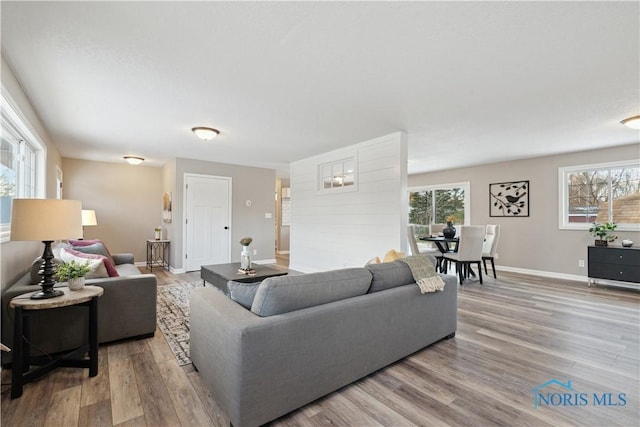 living room featuring hardwood / wood-style floors