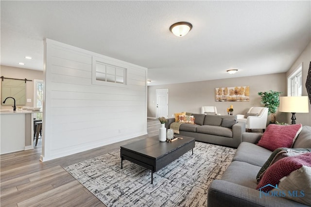 living room featuring light wood-type flooring and sink