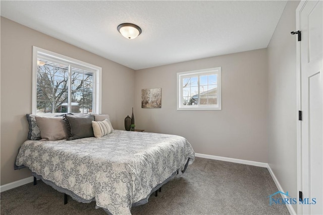 bedroom featuring carpet flooring