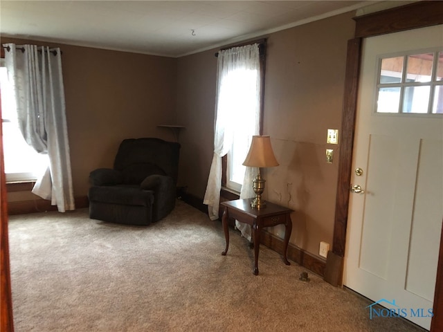 living area featuring light colored carpet, ornamental molding, and a wealth of natural light