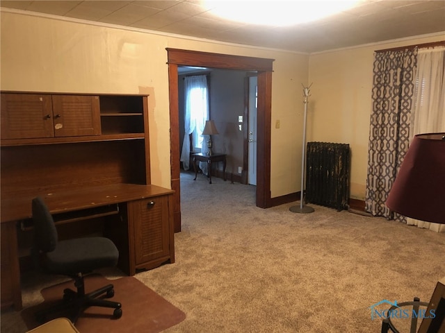 carpeted office with crown molding